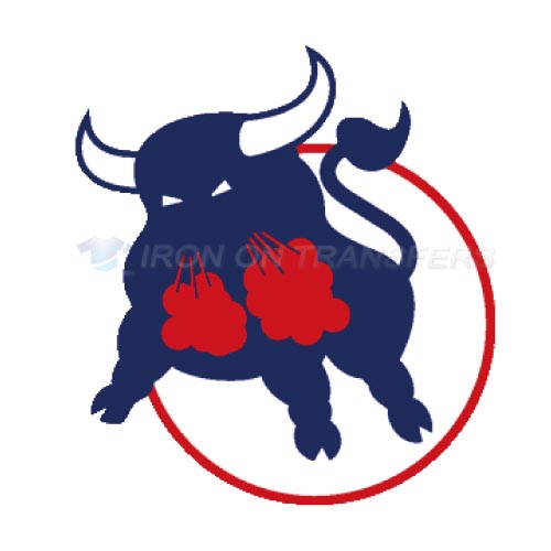 Birmingham Bulls Iron-on Stickers (Heat Transfers)NO.7104